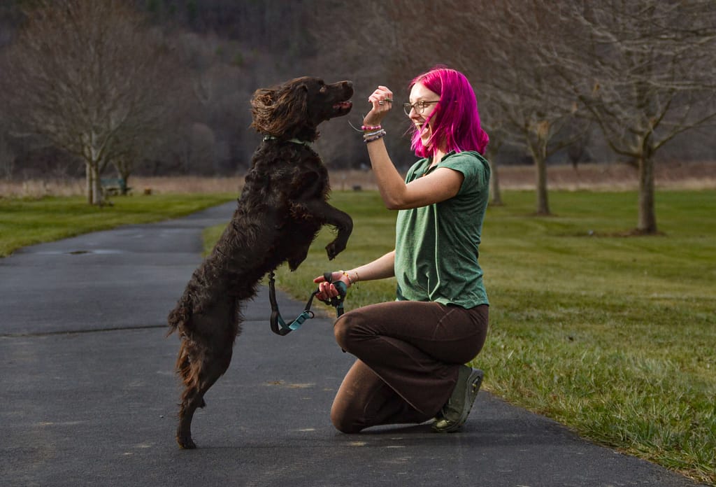 Brown dog jumping on woman with pink hair in green and black uniform.